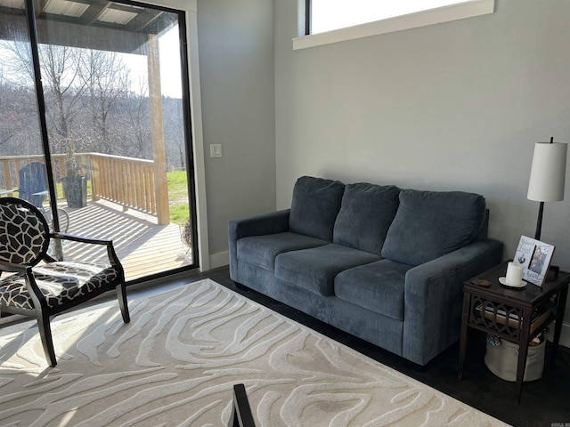 living area with wood finished floors