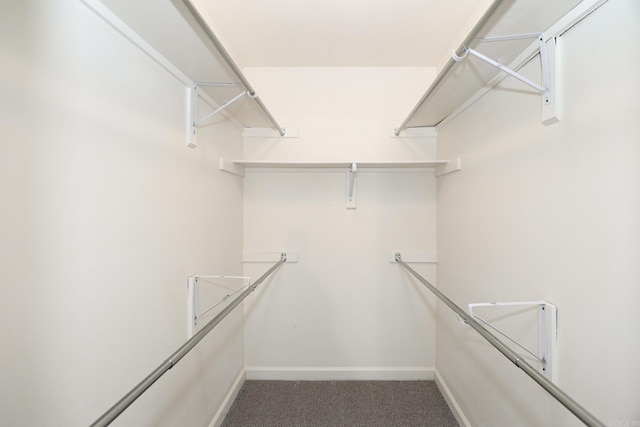 spacious closet with carpet