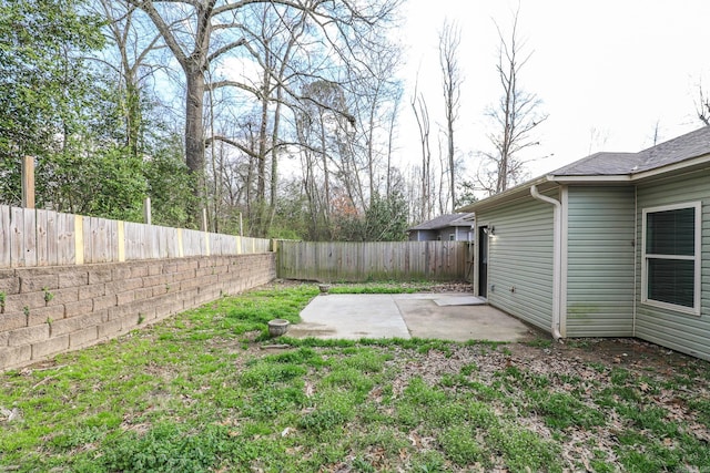 view of yard with a patio area and a fenced backyard