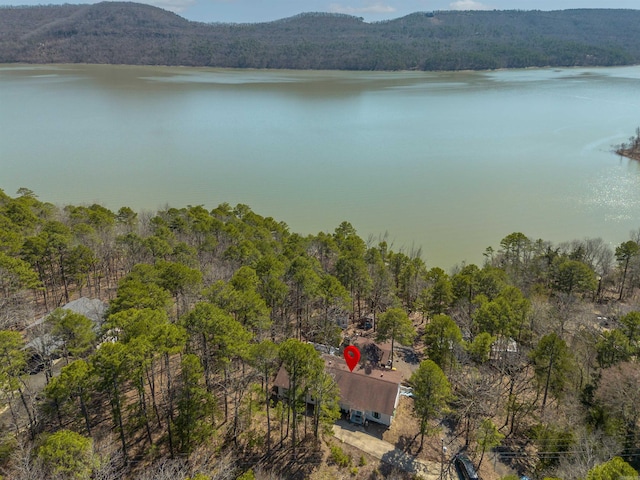 drone / aerial view featuring a view of trees and a water and mountain view