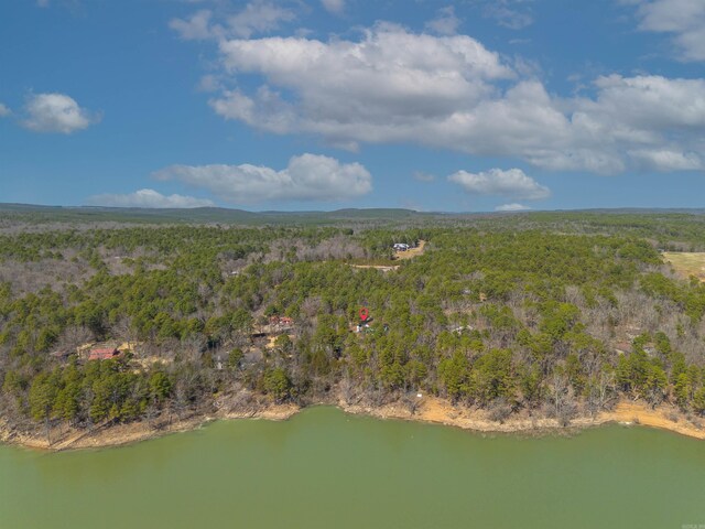 aerial view with a water view and a wooded view