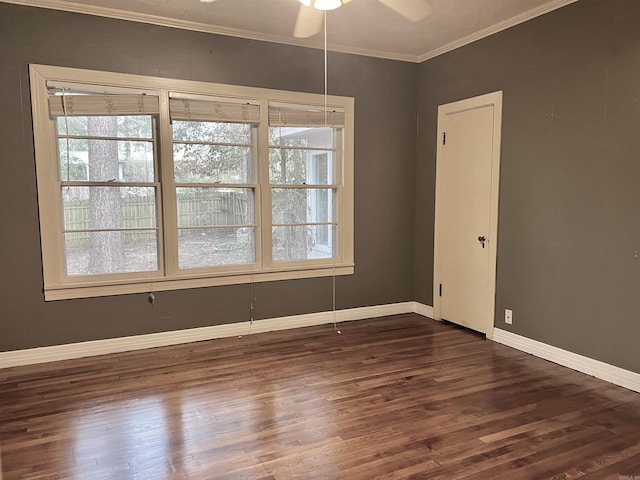 spare room with a wealth of natural light, dark wood-style flooring, a ceiling fan, and ornamental molding