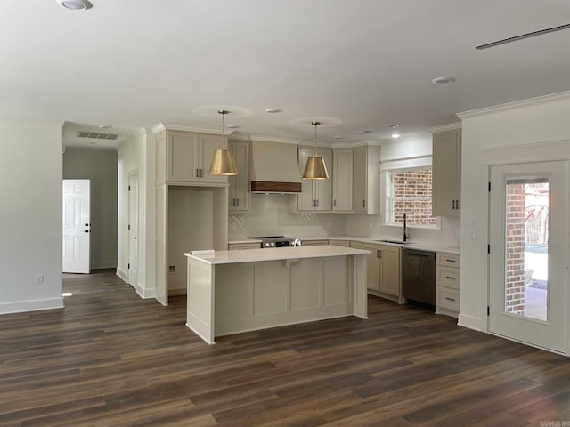 kitchen featuring a kitchen island, dark wood-type flooring, custom range hood, appliances with stainless steel finishes, and a sink