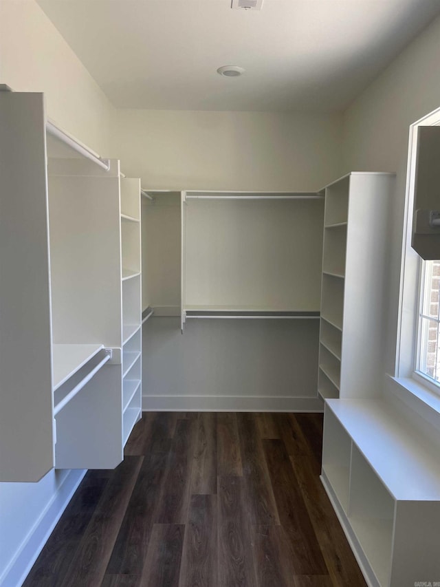 spacious closet featuring wood finished floors