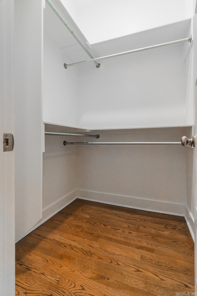 spacious closet featuring wood finished floors