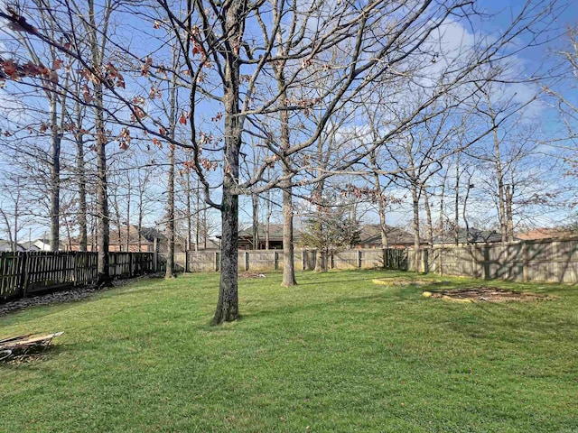 view of yard with a fenced backyard