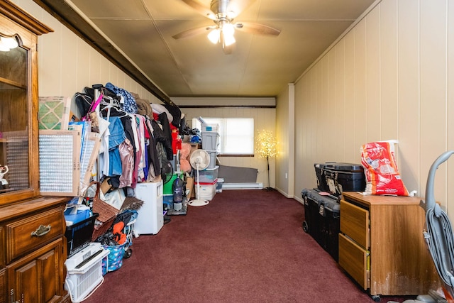 storage with a ceiling fan