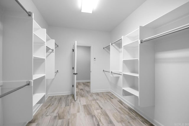 spacious closet with light wood-style flooring