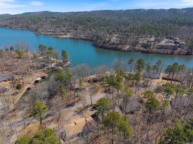 birds eye view of property featuring a forest view and a water view