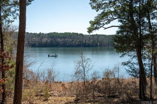 water view featuring a forest view