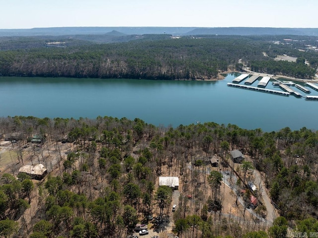 aerial view featuring a wooded view and a water view