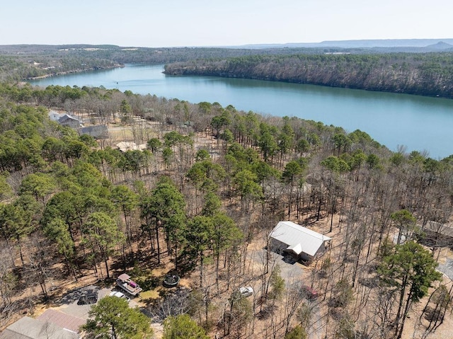 bird's eye view with a wooded view and a water view