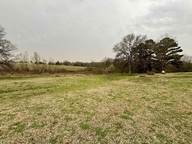 view of yard featuring a rural view