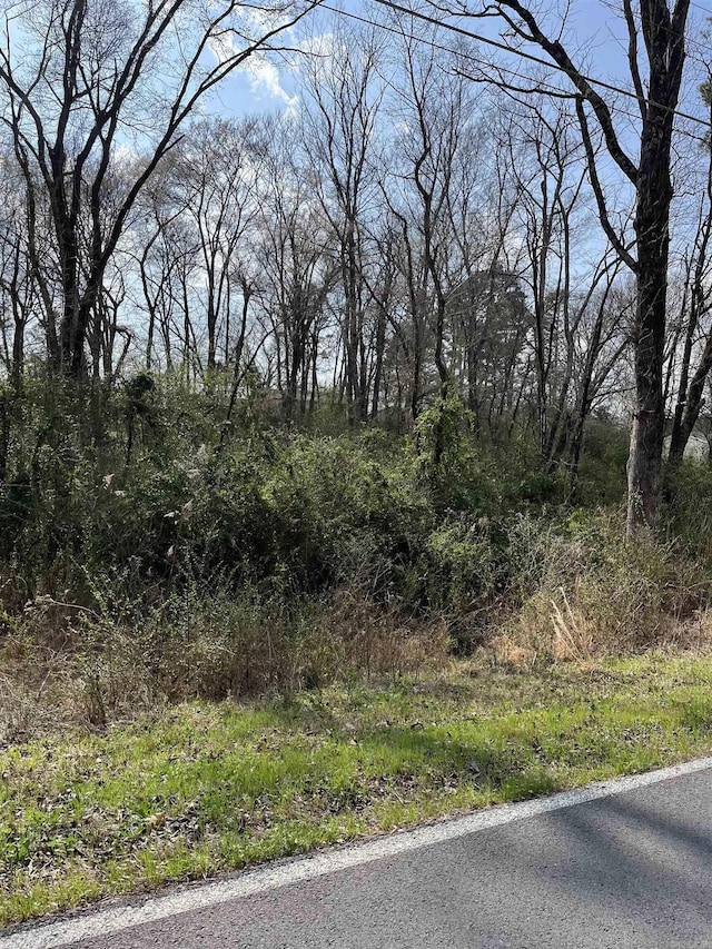 Spring St Lots 53-56, Hot Springs AR, 71901 land for sale