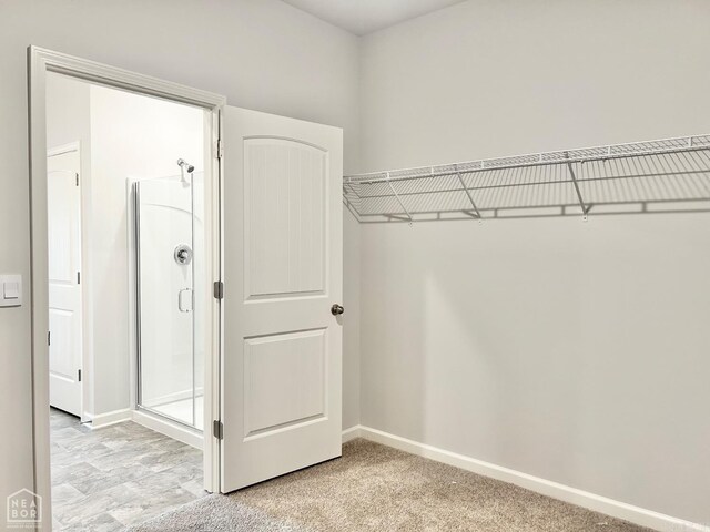 spacious closet featuring light colored carpet