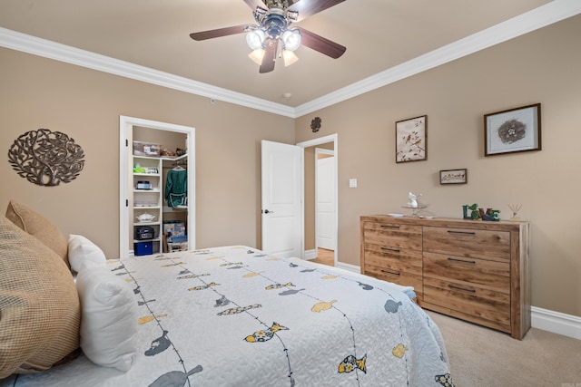 carpeted bedroom featuring a spacious closet, crown molding, baseboards, ceiling fan, and a closet