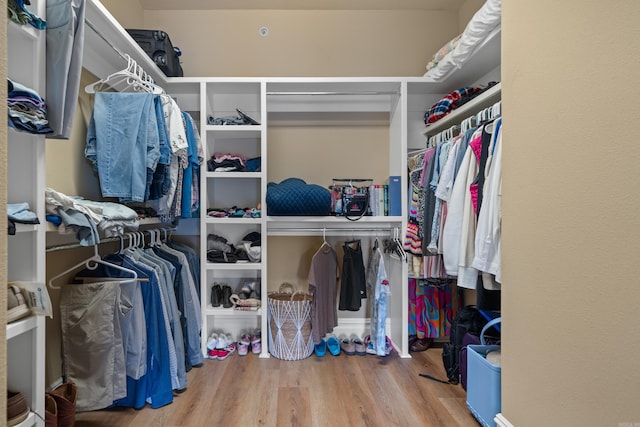 walk in closet featuring wood finished floors