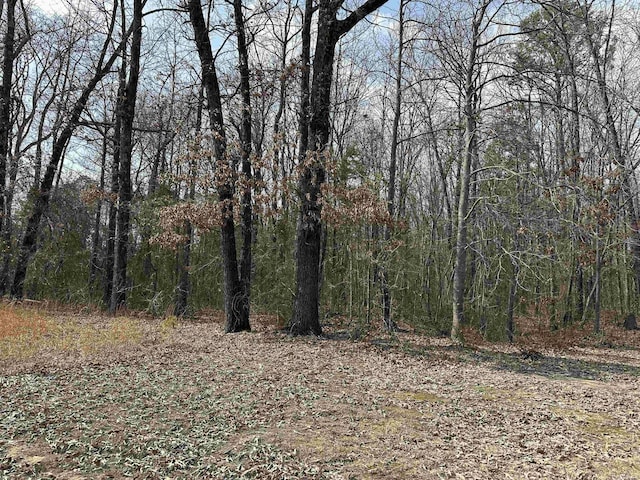 Listing photo 2 for 00 Edgemont, Greers Ferry AR 72067