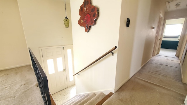 stairs featuring attic access and carpet