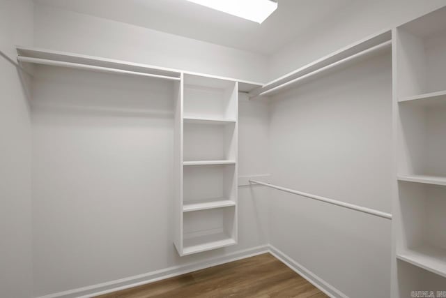 walk in closet with dark wood-type flooring