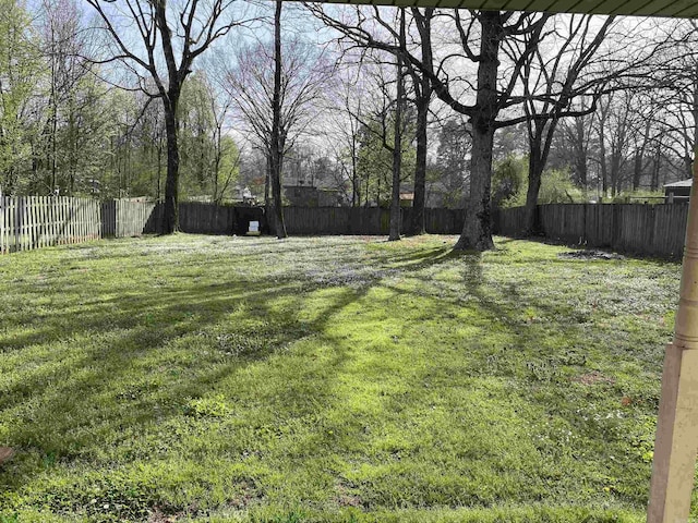 view of yard with a fenced backyard