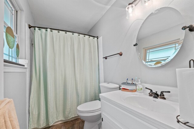 bathroom with vanity, curtained shower, and toilet