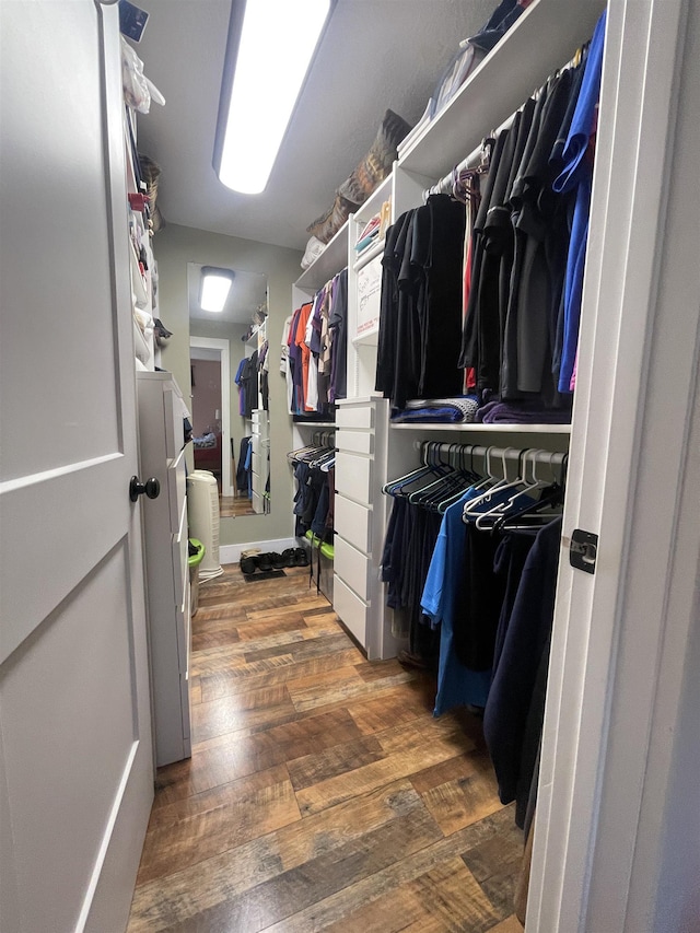 spacious closet with wood-type flooring