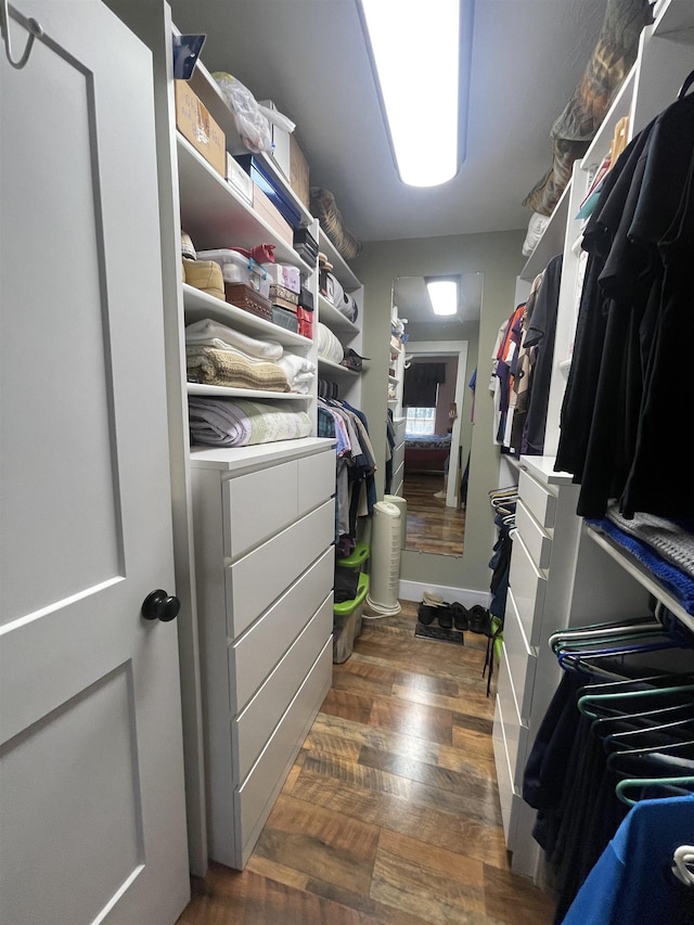 spacious closet featuring wood finished floors