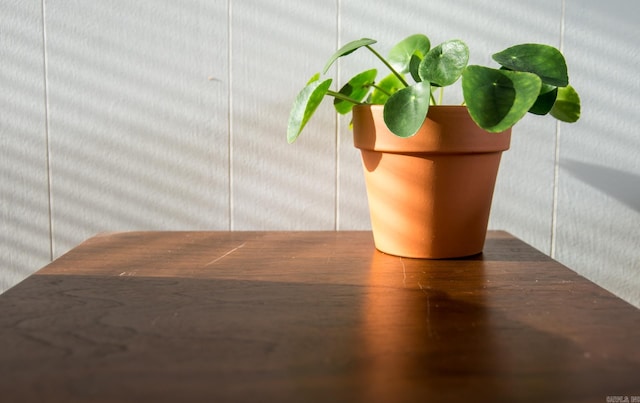 interior details with a decorative wall