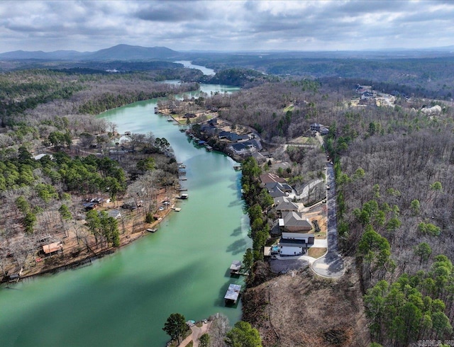 aerial view featuring a wooded view and a water and mountain view