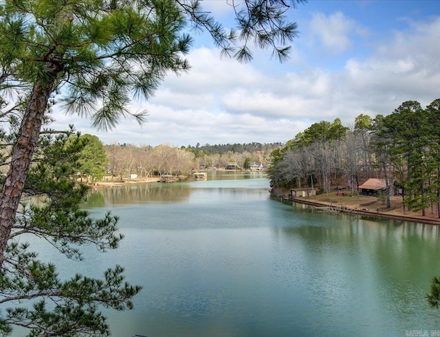 view of water feature
