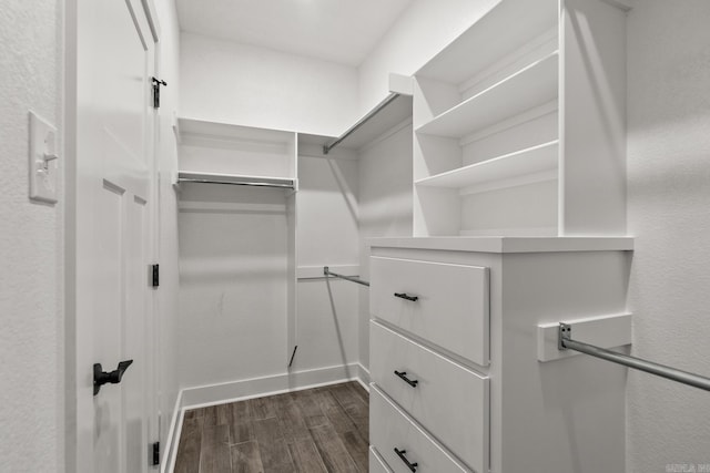 spacious closet with dark wood-style floors