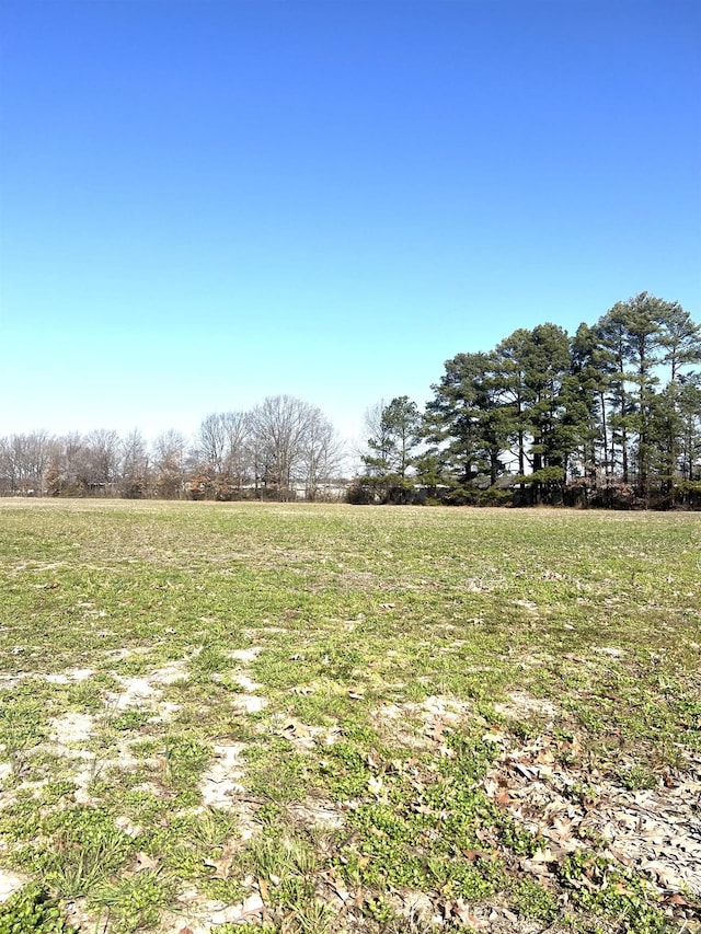 Listing photo 3 for 11.46ACRES Hwy 351, Jonesboro AR 72401