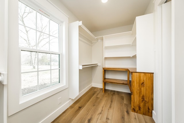 walk in closet featuring wood finished floors