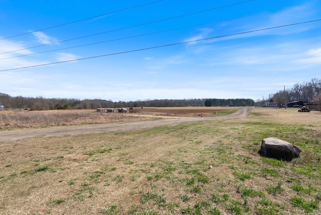 view of yard with a rural view and dirt driveway