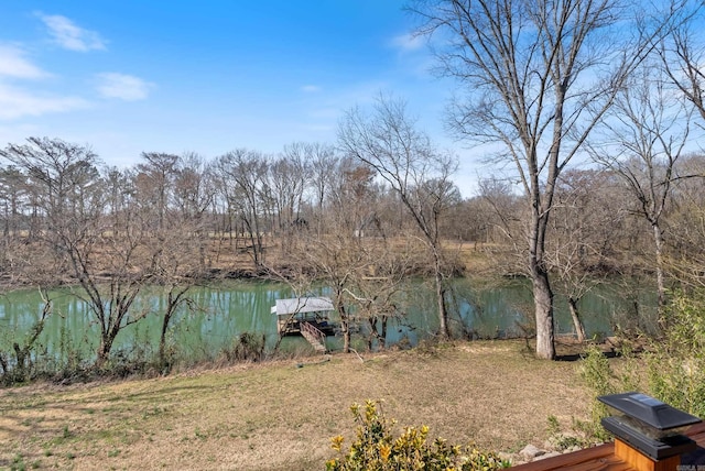 view of water feature with a boat dock