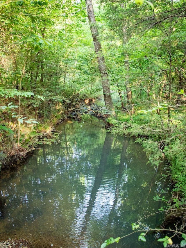 property view of water with a view of trees