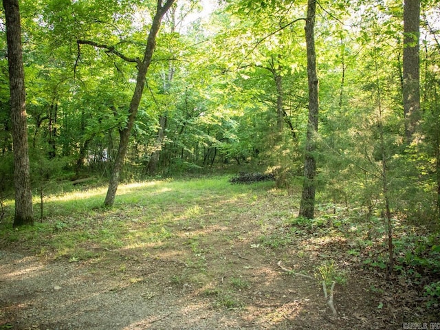 view of landscape with a wooded view