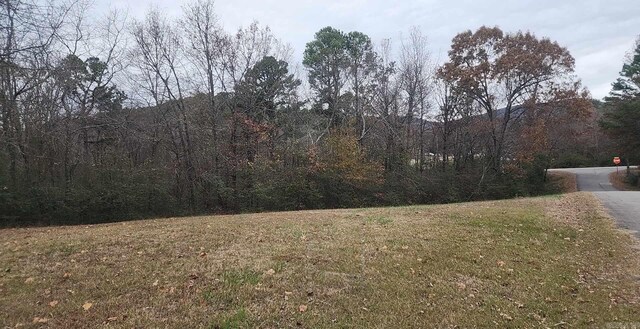 209 Finks, Mena, AR 71953