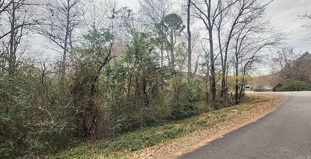 209 Finks, Mena, AR 71953