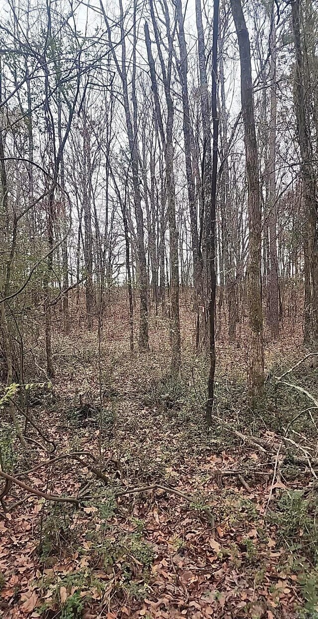 209 Finks, Mena, AR 71953