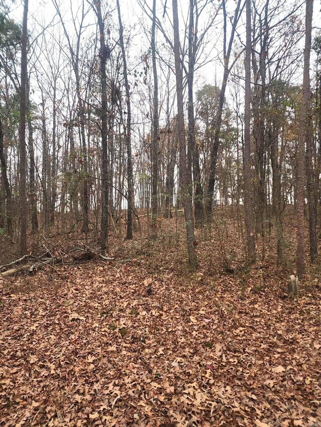 209 Finks, Mena, AR 71953