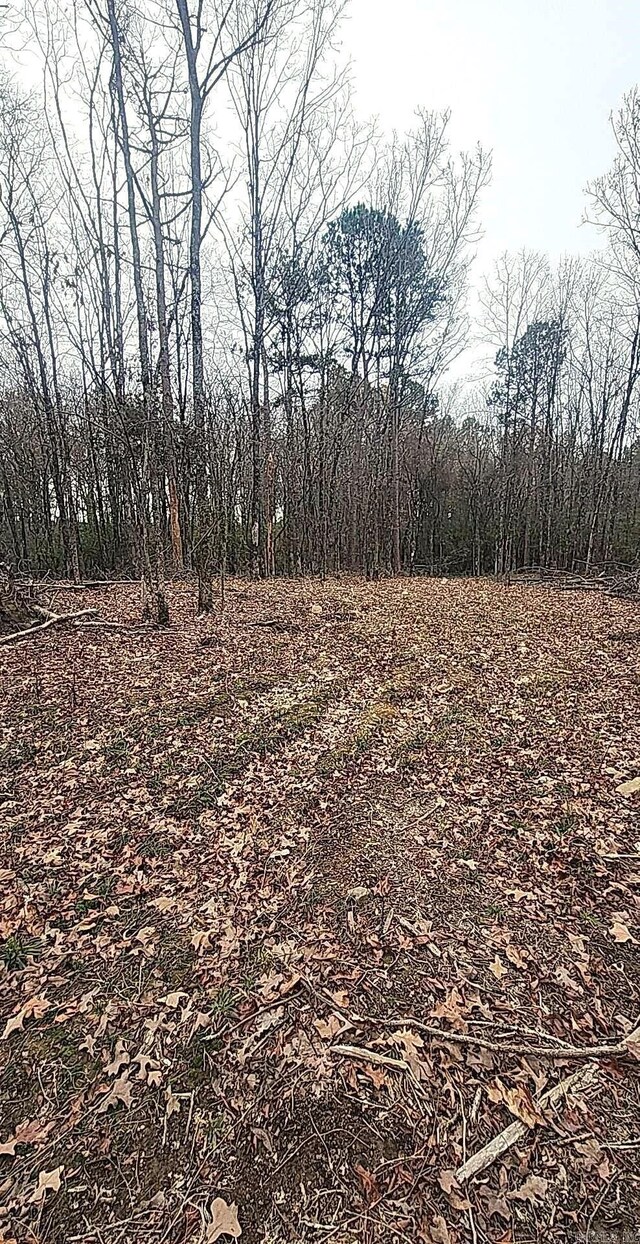 209 Finks, Mena, AR 71953