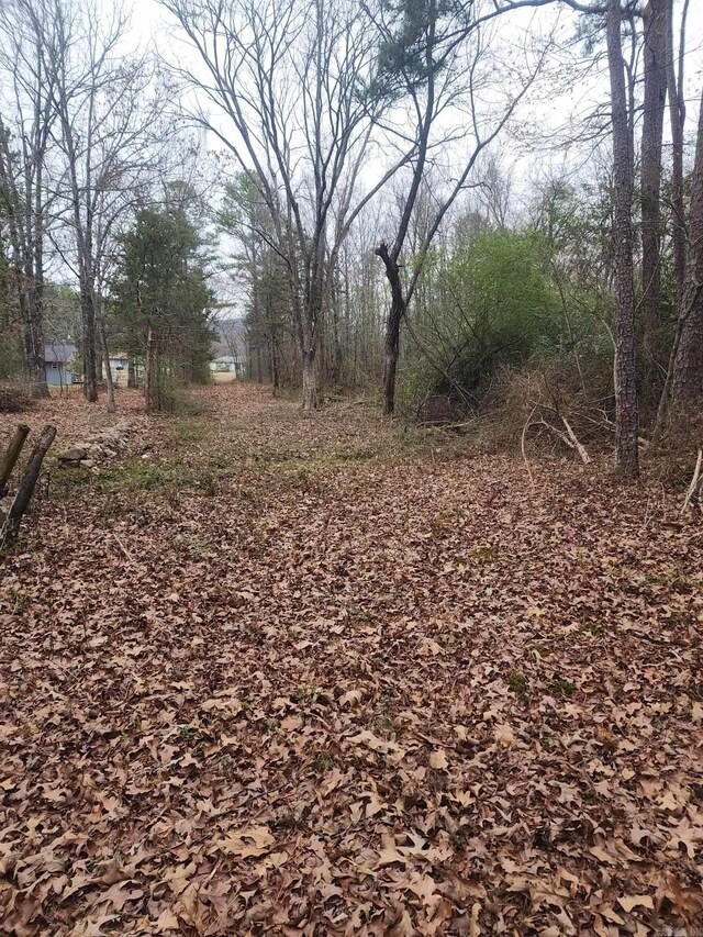 209 Finks, Mena, AR 71953
