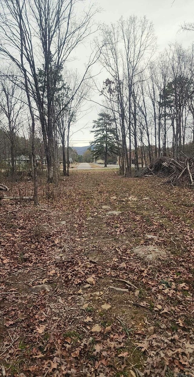 209 Finks, Mena, AR 71953