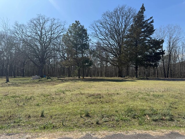 209 Finks, Mena, AR 71953