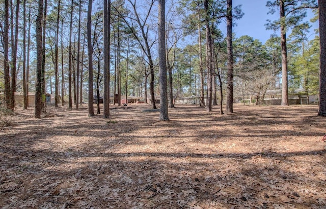 106 Pine Forest Ln, Fordyce, AR 71742 - view of yard