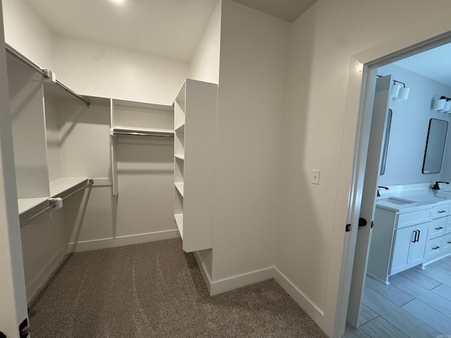 walk in closet featuring carpet flooring and a sink