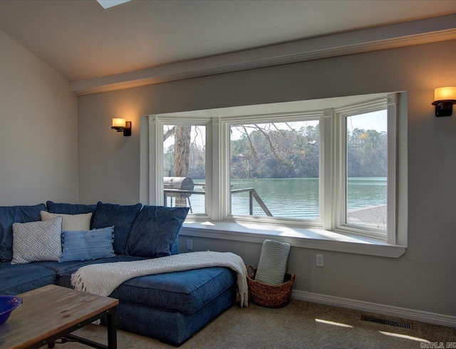 interior space featuring a wealth of natural light, visible vents, and vaulted ceiling