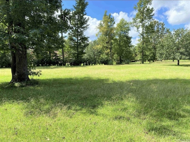 240 Timberlane Dr, Magnolia, AR 71753 - view of yard